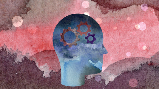 સ્થિતિસ્થાપકતા